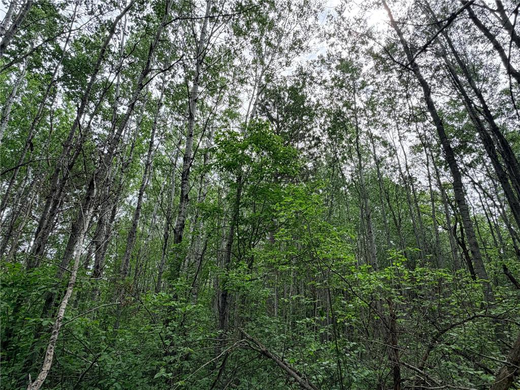 TBD Half Moon Rd Park Rapids MN 56470 7085212 image8