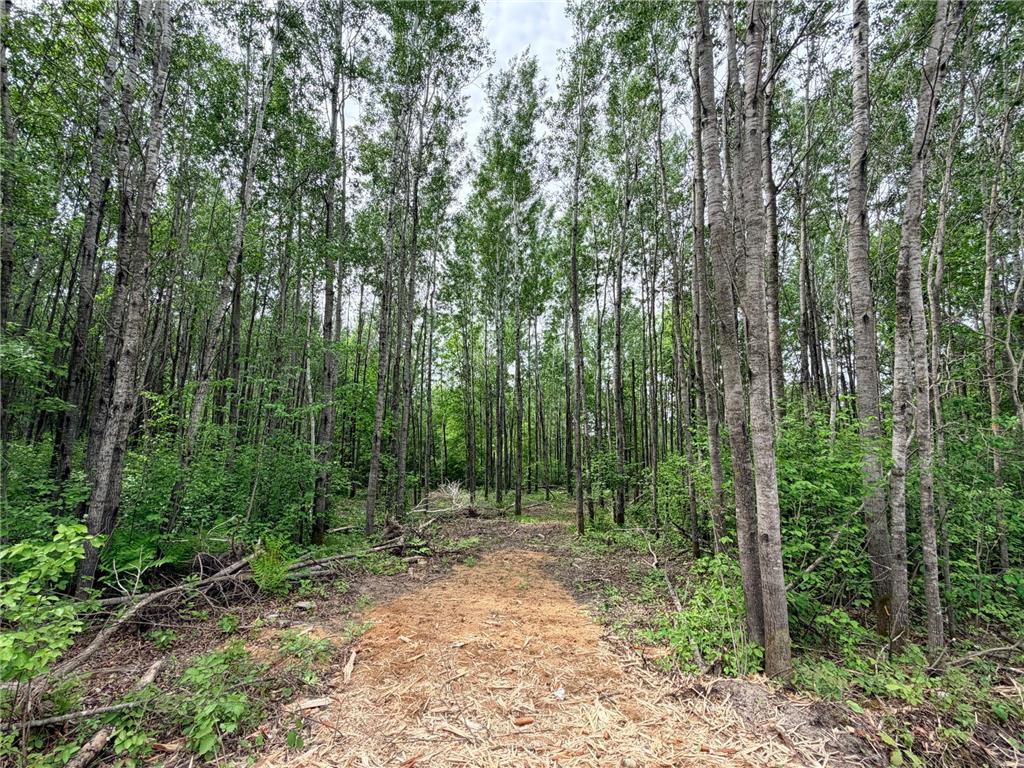 TBD Half Moon Rd Park Rapids MN 56470 7085212 image9