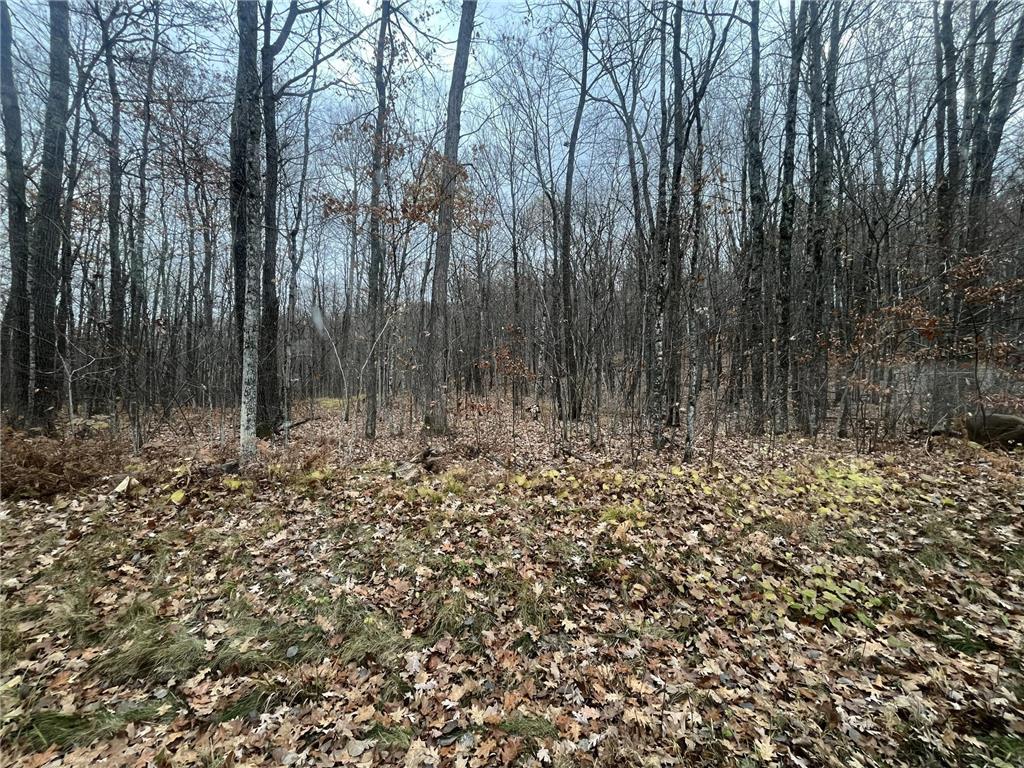 TBD Ham Lake Road Sand Lake Twp WI 54876 6817877 image1