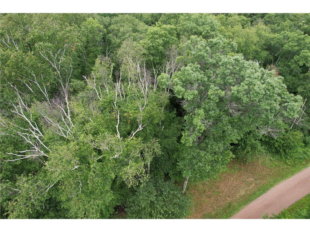 TBD Hardy Lake Road Baxter MN 56425 7106478 image10