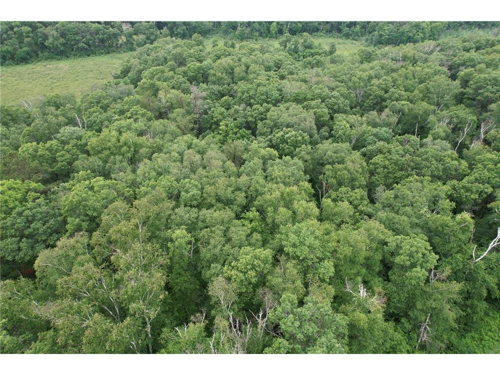 TBD Hardy Lake Road Baxter MN 56425 7106478 image11
