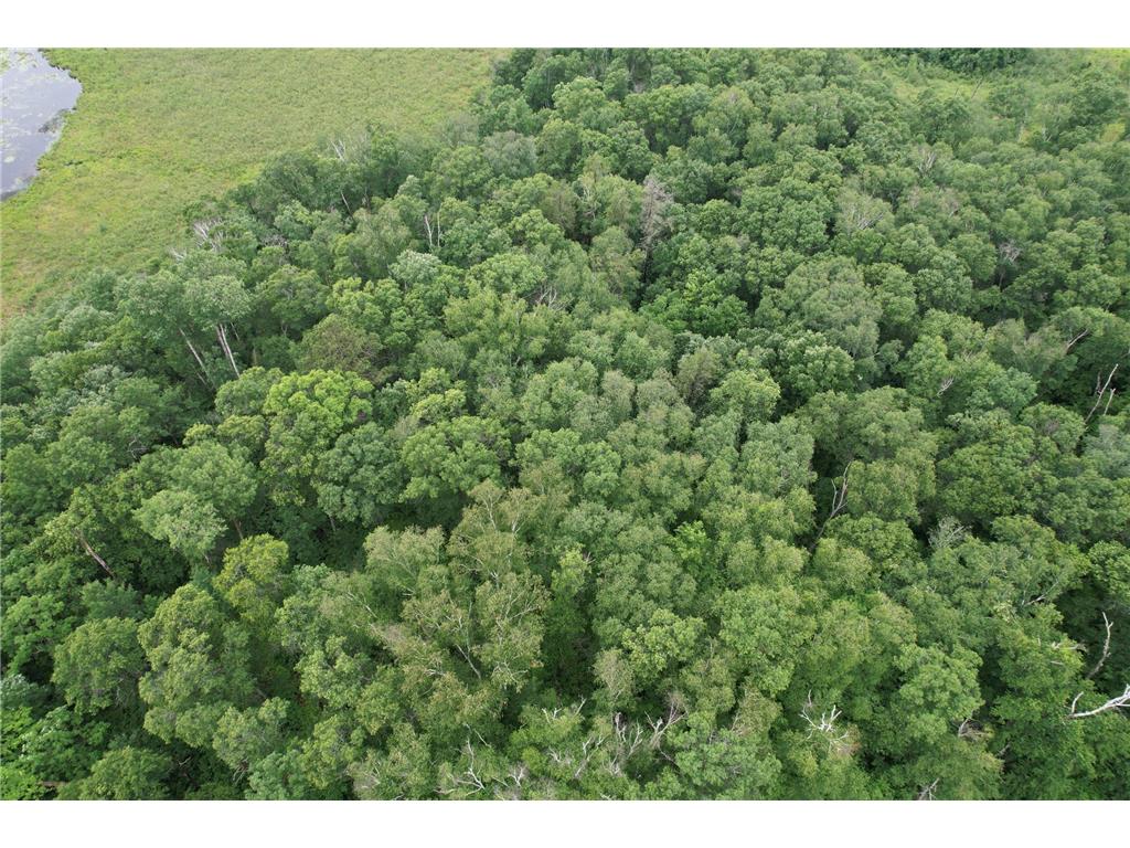 TBD Hardy Lake Road Baxter MN 56425 7106478 image30