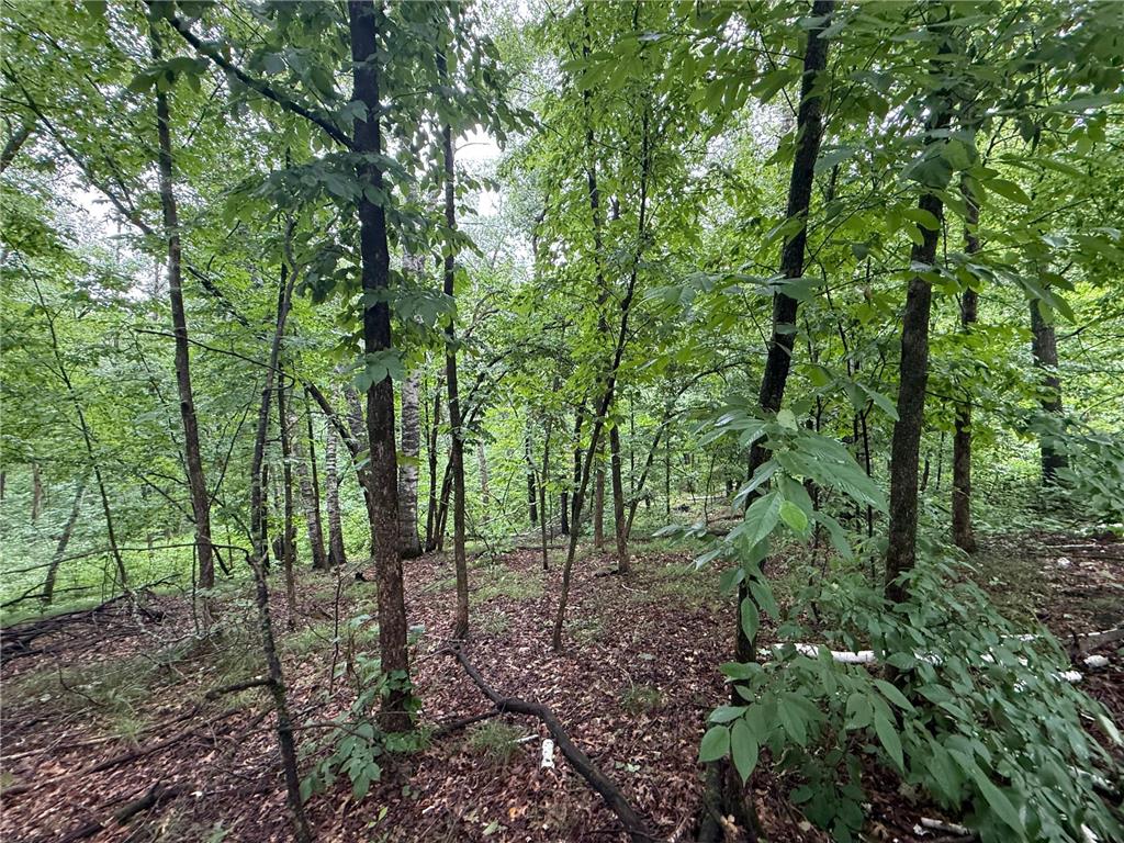 TBD Hardy Lake Road Baxter MN 56425 7106478 image4