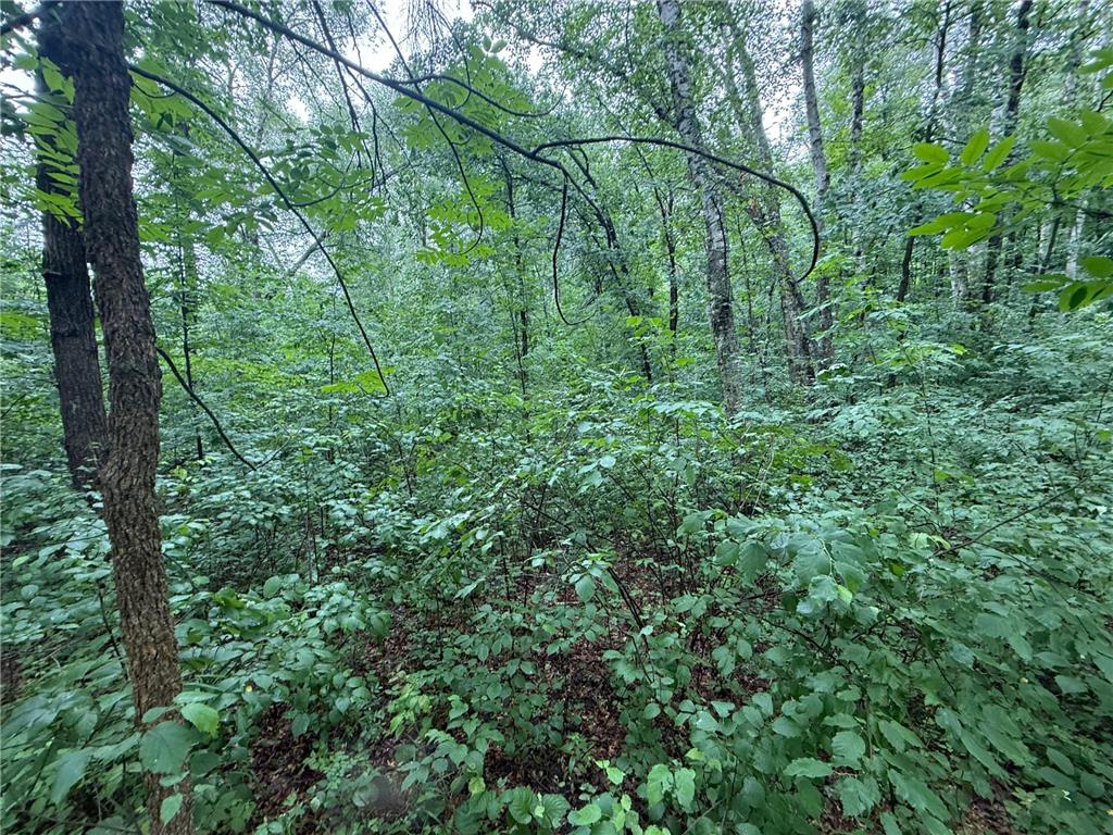 TBD Hardy Lake Road Baxter MN 56425 7106478 image5