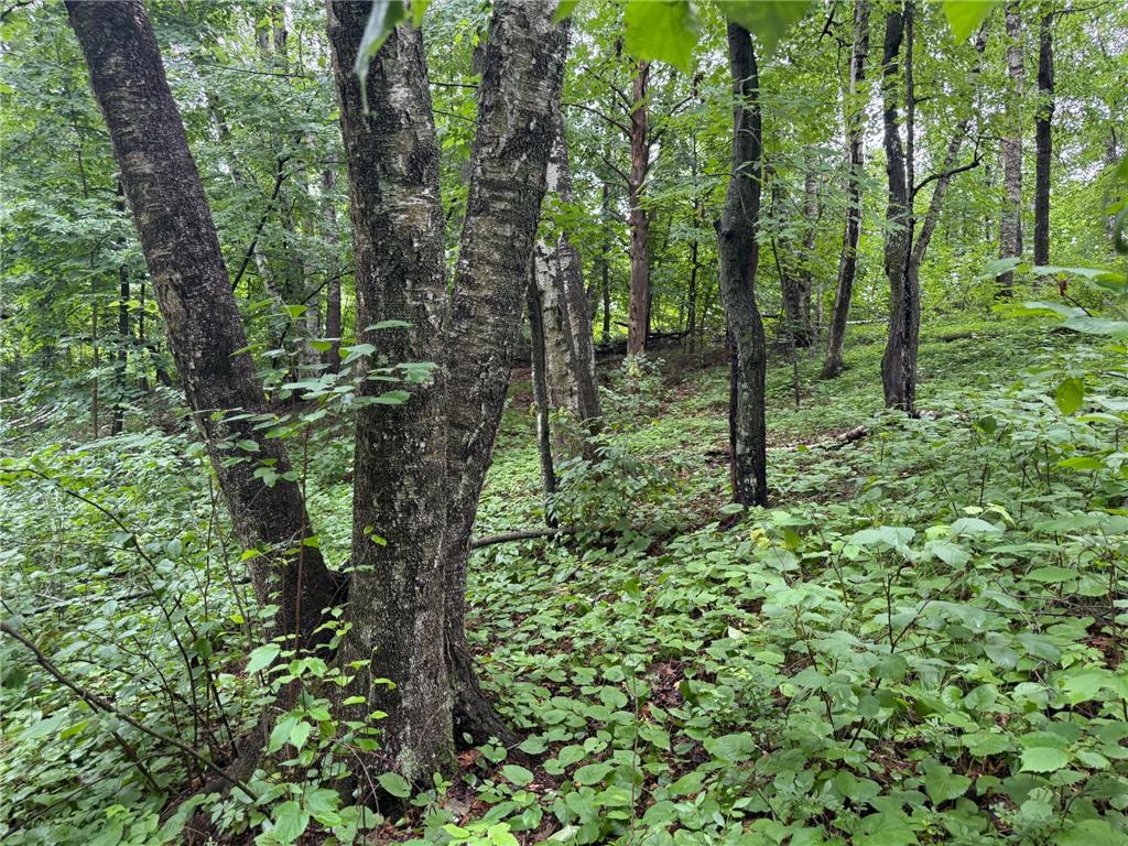 TBD Hardy Lake Road Baxter MN 56425 7106478 image6