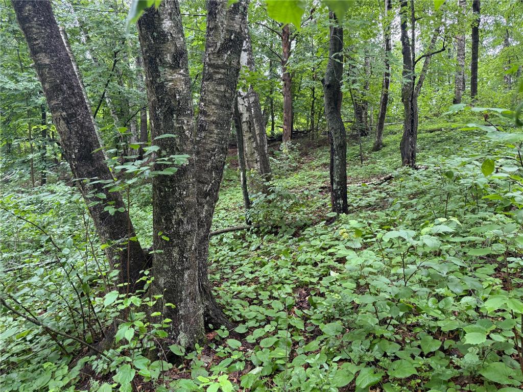 TBD Hardy Lake Road Baxter MN 56425 7106478 image7
