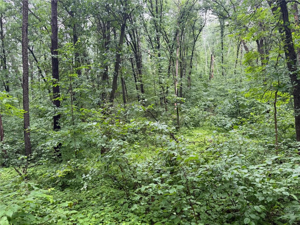 TBD Hardy Lake Road Baxter MN 56425 7106478 image8