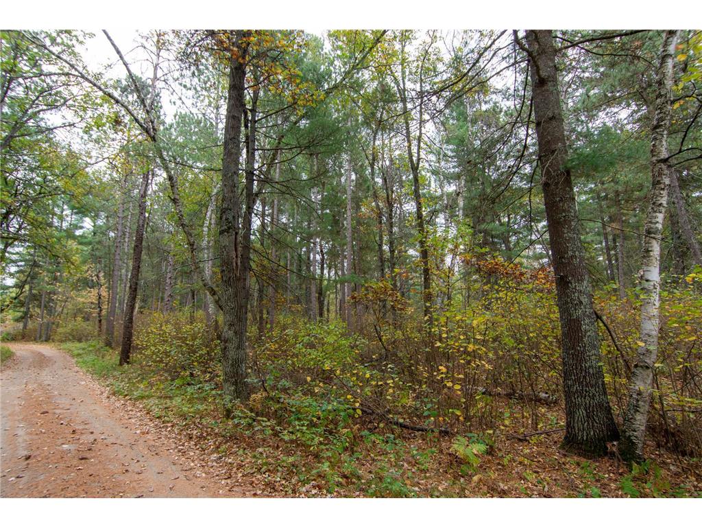 TBD Harriet Lake Trail NW Ponto Lake Twp MN 56435 - Harriet Lake 6802624 image11