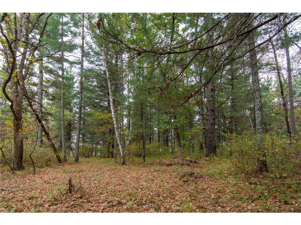 TBD Harriet Lake Trail NW Ponto Lake Twp MN 56435 - Harriet Lake 6802624 image2