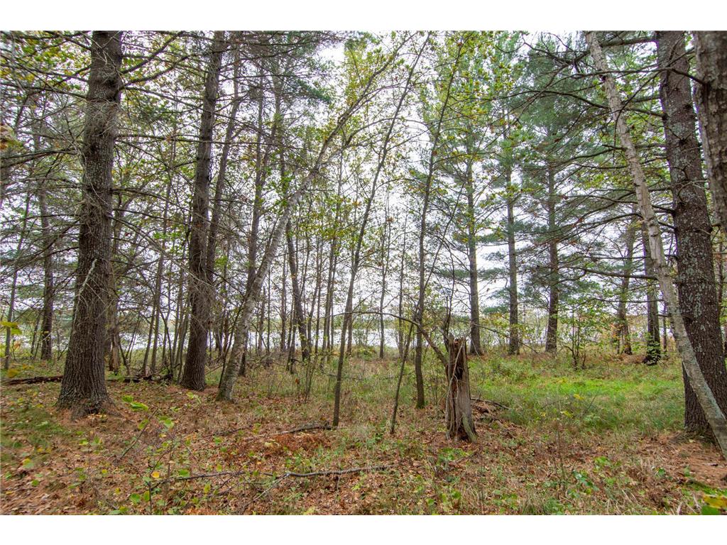 TBD Harriet Lake Trail NW Ponto Lake Twp MN 56435 - Harriet Lake 6802624 image3