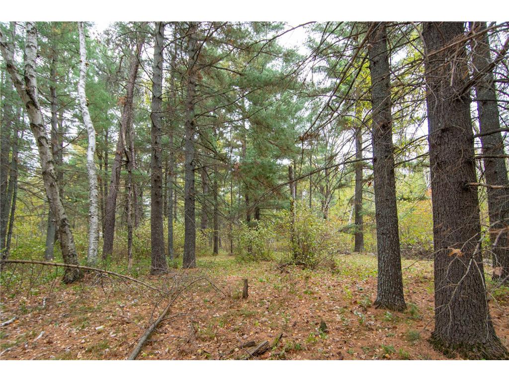 TBD Harriet Lake Trail NW Ponto Lake Twp MN 56435 - Harriet Lake 6802624 image7