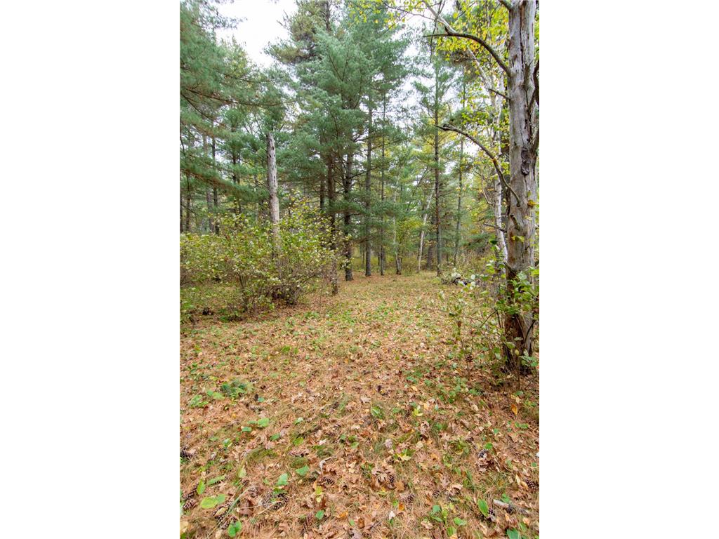 TBD Harriet Lake Trail NW Ponto Lake Twp MN 56435 - Harriet Lake 6802624 image8