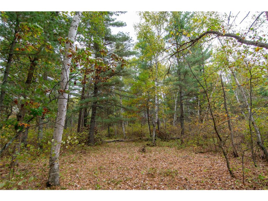 TBD Harriet Lake Trail NW Ponto Lake Twp MN 56435 - Harriet Lake 6802624 image9