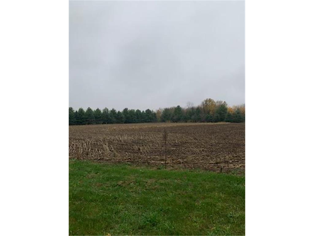 TBD Harrison Avenue NE Racine MN 55967 6723881 image4