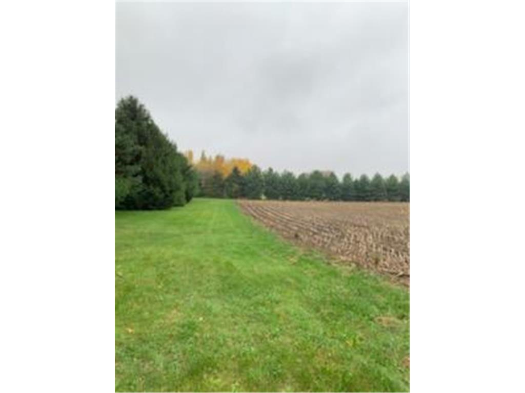 TBD Harrison Avenue NE Racine MN 55967 6723881 image5