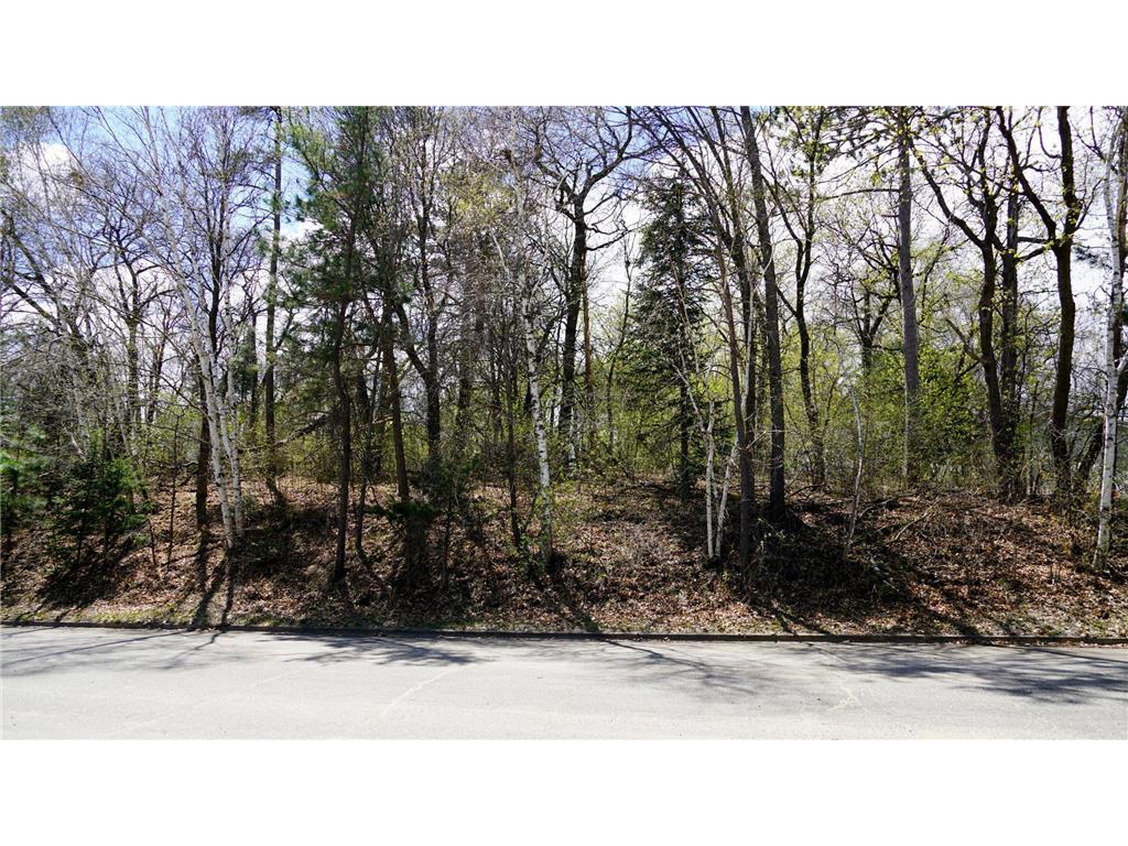 TBD Hawkins Dr Brainerd MN 56401 6779054 image1