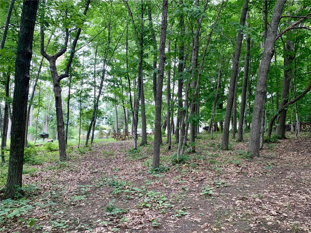 TBD Hawthorne, Walker, MN 56484 MLS 6250755 Edina Realty