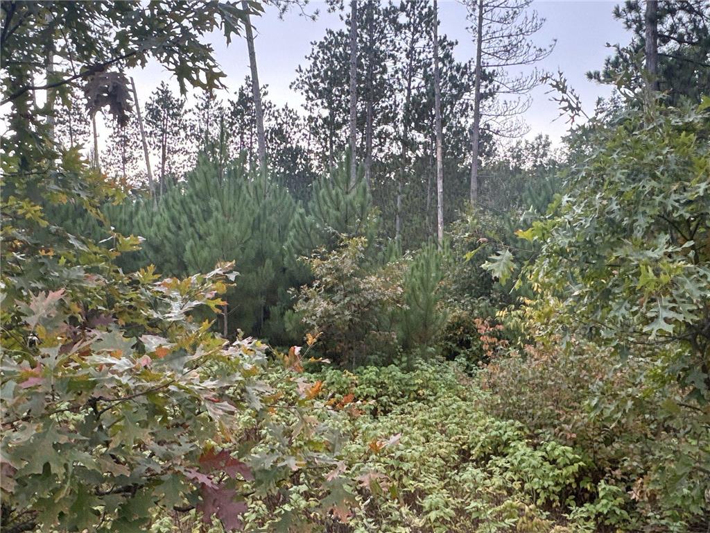 TBD Hayden Lake Road Oakland WI 54830 6790709 image1