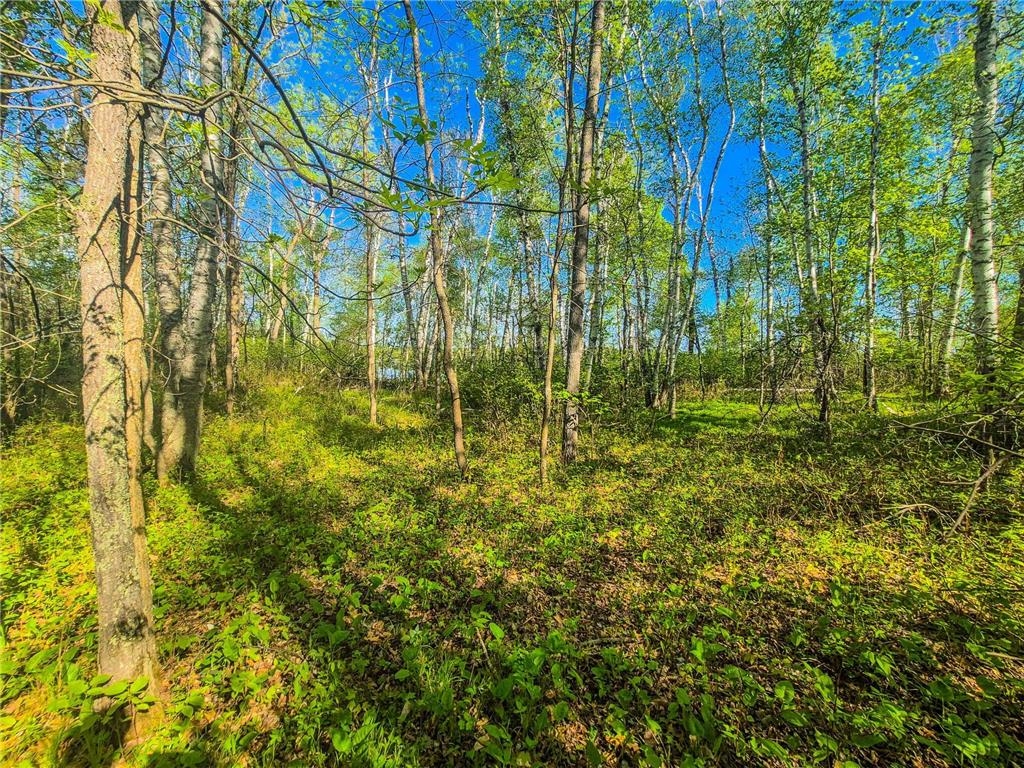TBD Heather Trail Nevis MN 56467 - Dead Lake 7081385 image6