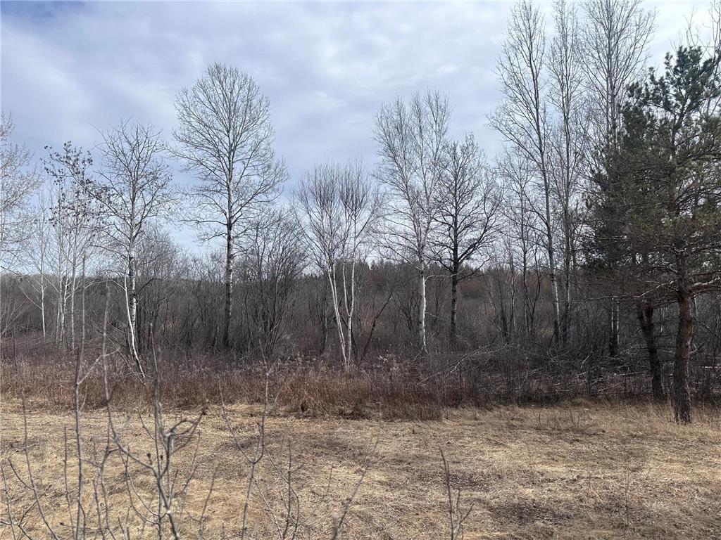TBD Hermantown Road Solway Twp MN 55720 7048657 image3