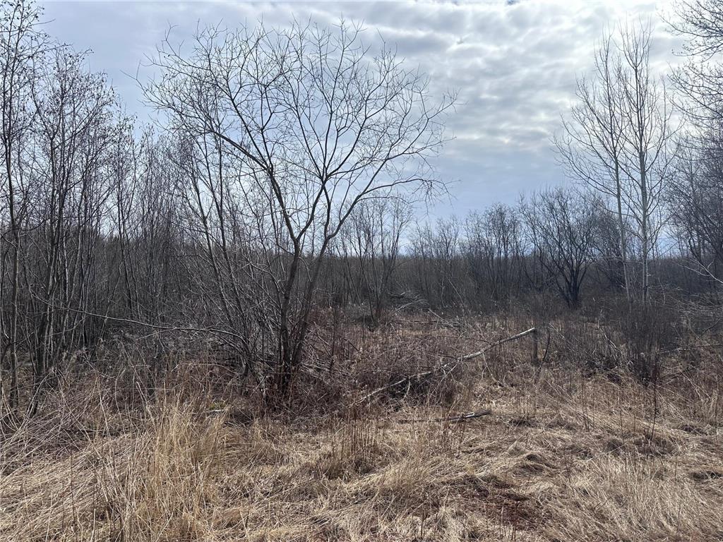 TBD Hermantown Road Solway Twp MN 55720 7048657 image5
