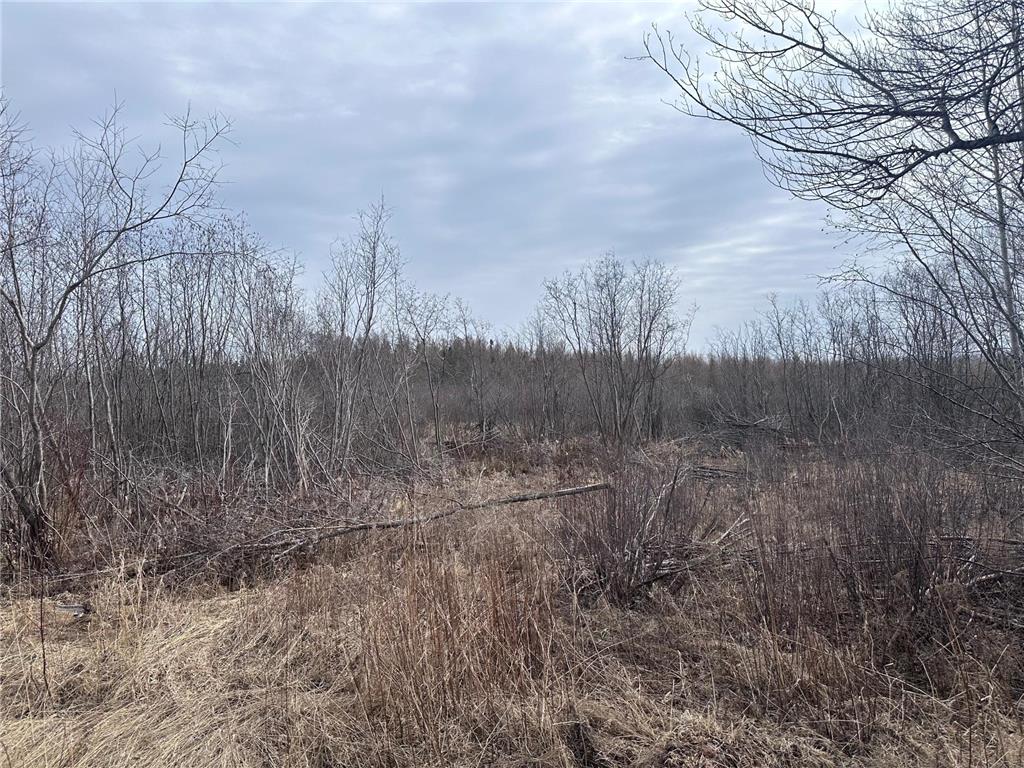 TBD Hermantown Road Solway Twp MN 55720 7048657 image6