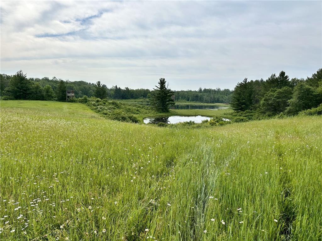 TBD Hidden Road Akeley MN 56433 6389406 image1