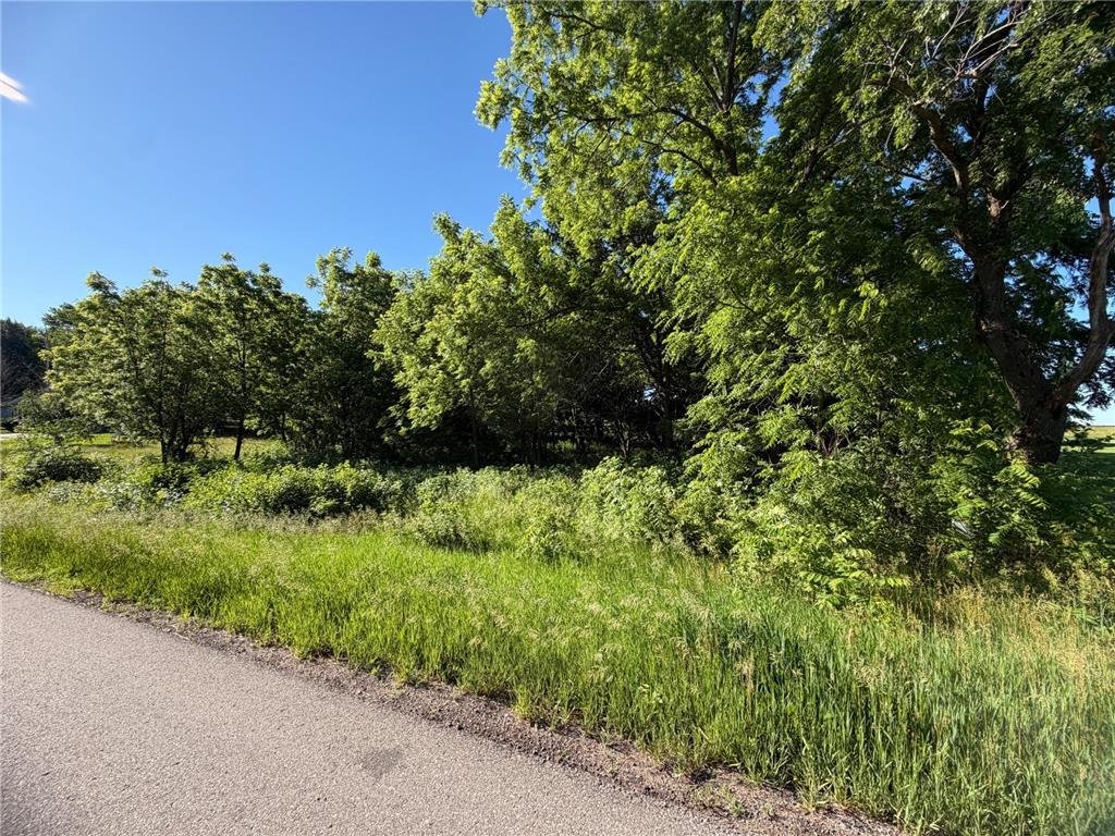 TBD Highland Drive Woodville Twp MN 56093 7092825 image2