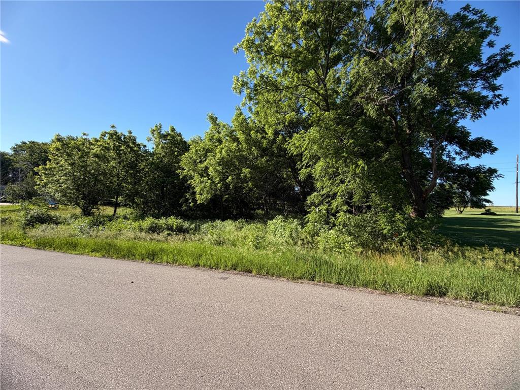 TBD Highland Drive Woodville Twp MN 56093 7092825 image5