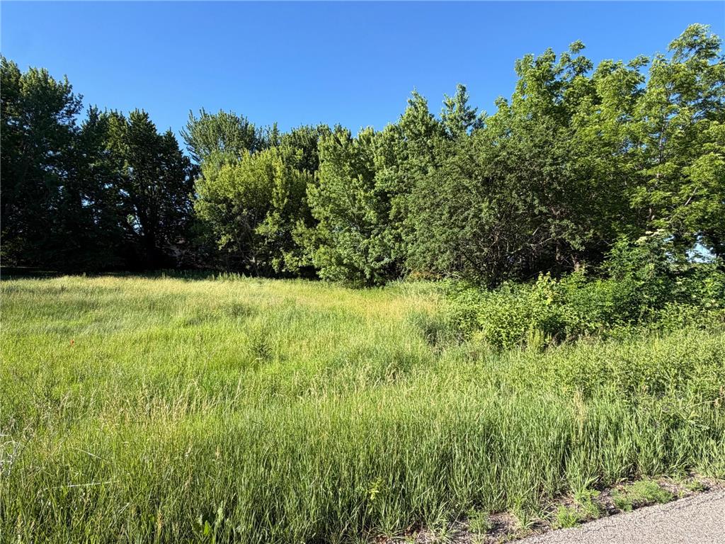 TBD Highland Drive Woodville Twp MN 56093 7092825 image8