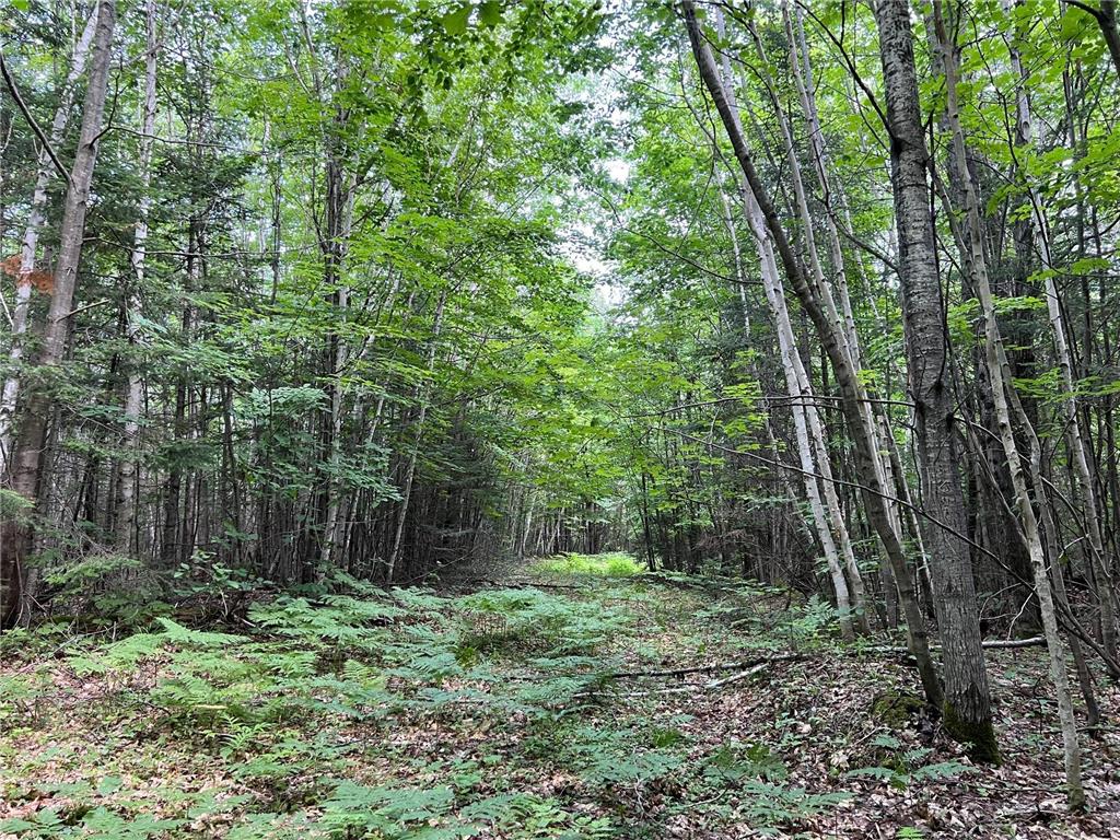 TBD Highway 2 Maple WI 54854 6684290 image1