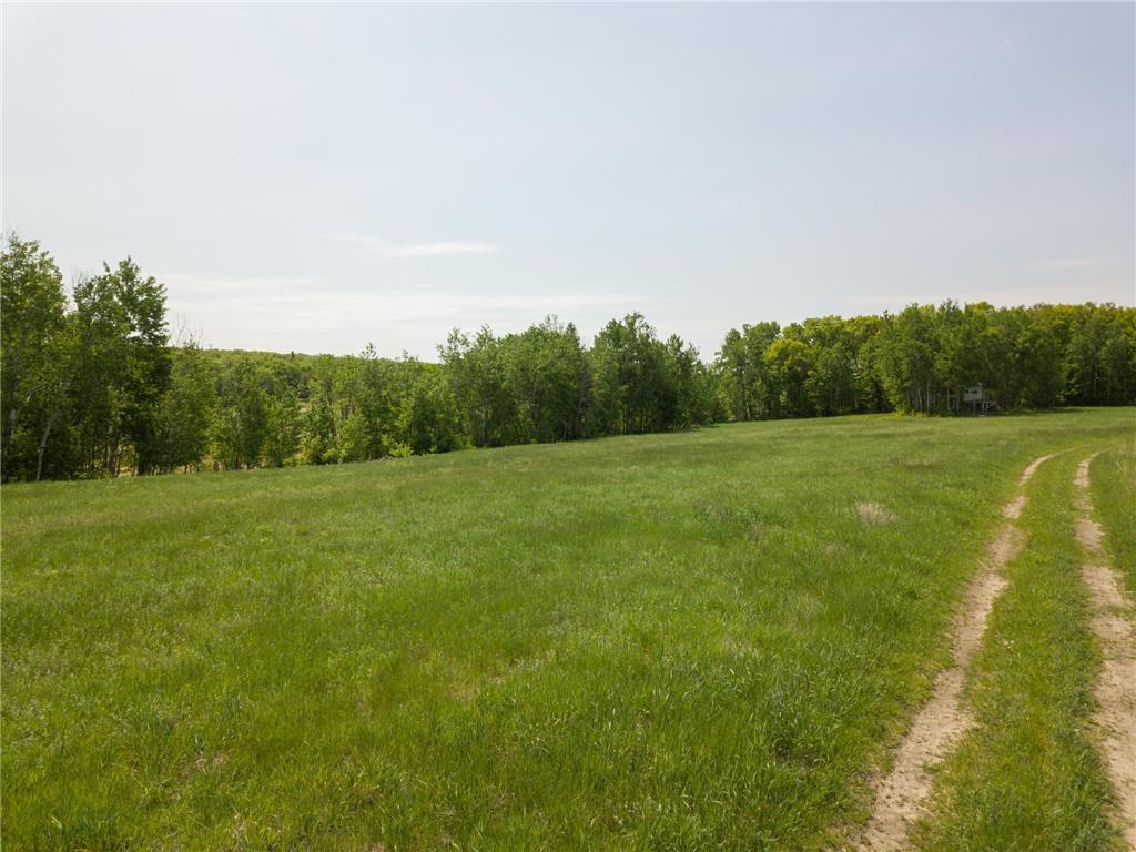 TBD Highway 210 Staples MN 56479 6730015 image6