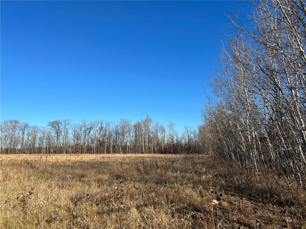 TBD Highway 23 Oak Park MN 56357 6816283 image8