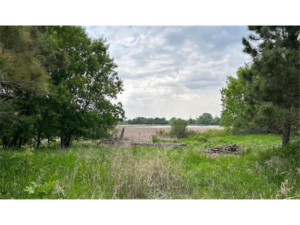 TBD Highway 28/29 Long Beach MN 56334 - Shallow Pond 6734442 image1