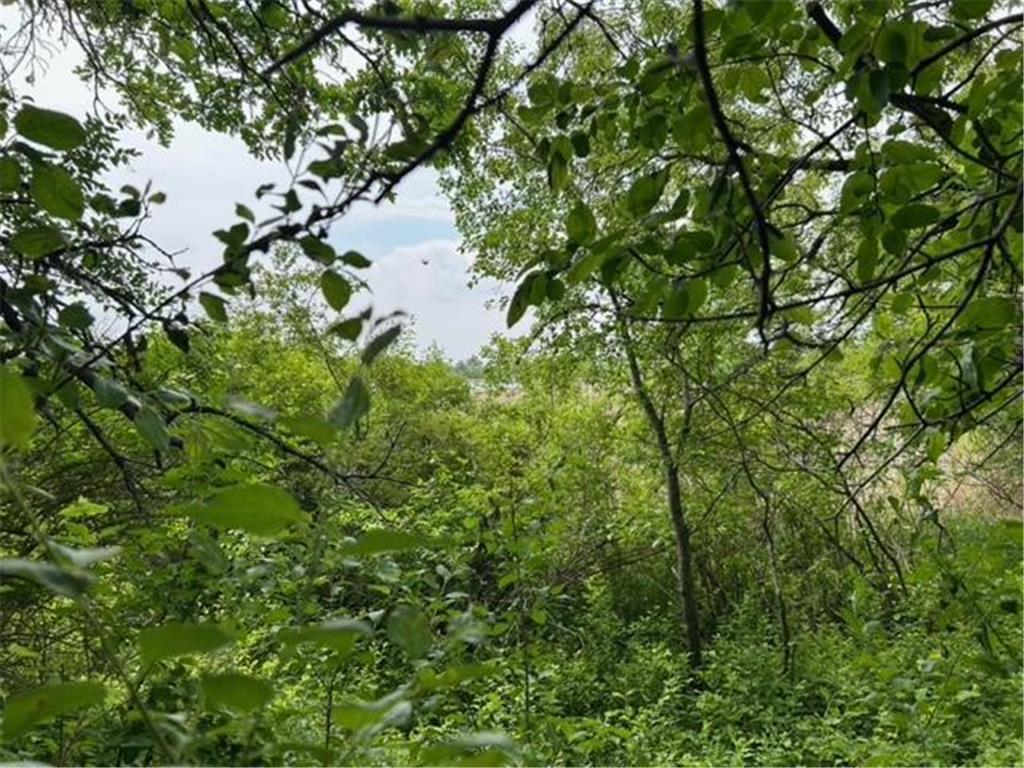 TBD Highway 28/29 Long Beach MN 56334 - Shallow Pond 6734442 image10