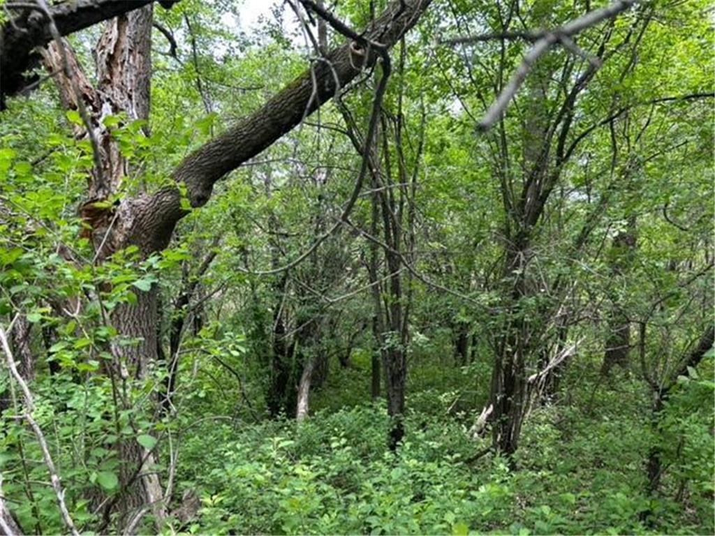 TBD Highway 28/29 Long Beach MN 56334 - Shallow Pond 6734442 image11