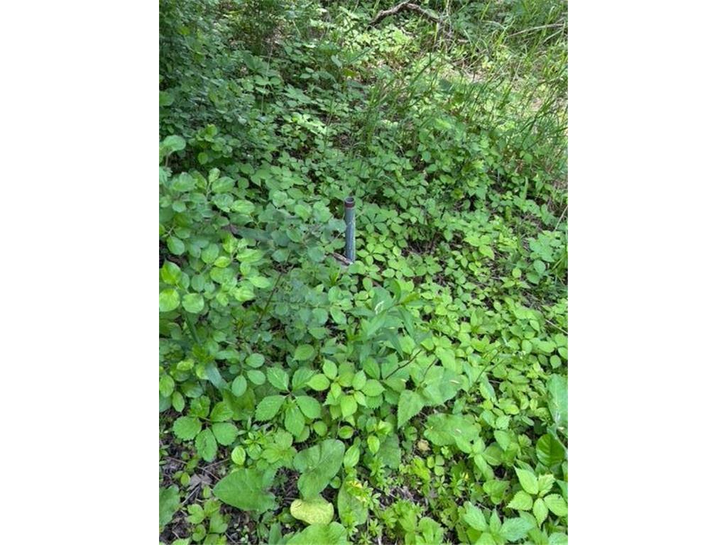 TBD Highway 28/29 Long Beach MN 56334 - Shallow Pond 6734442 image12