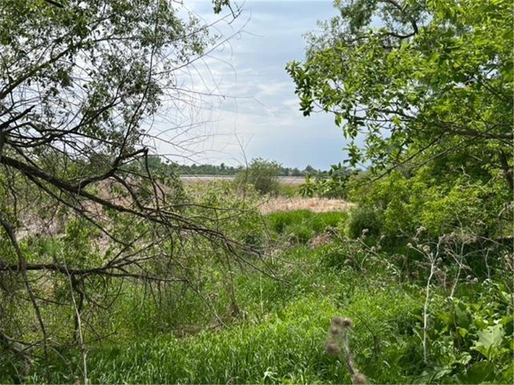 TBD Highway 28/29 Long Beach MN 56334 - Shallow Pond 6734442 image15