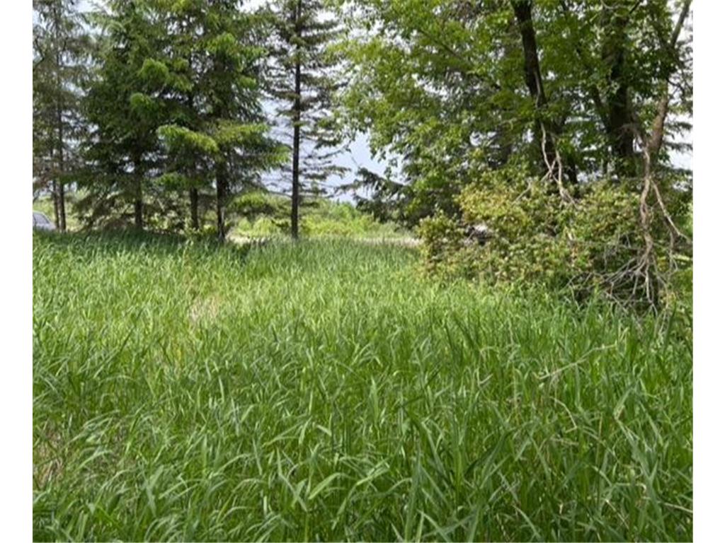 TBD Highway 28/29 Long Beach MN 56334 - Shallow Pond 6734442 image16