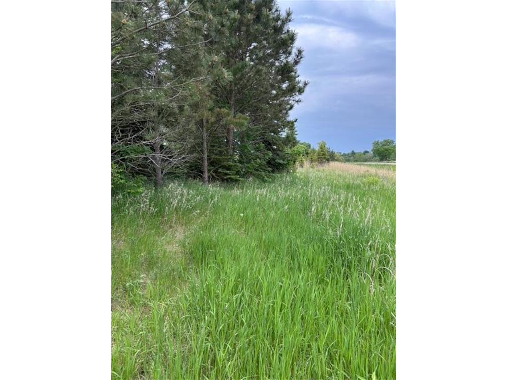 TBD Highway 28/29 Long Beach MN 56334 - Shallow Pond 6734442 image17