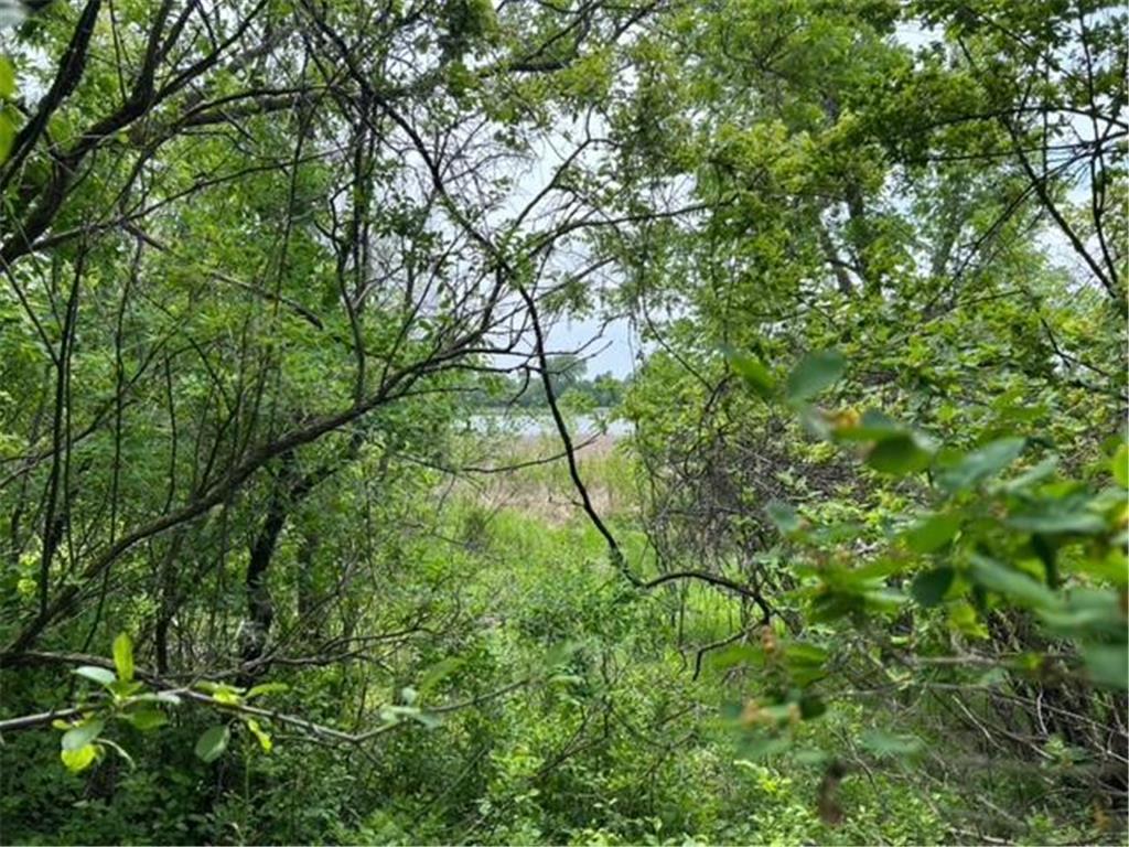 TBD Highway 28/29 Long Beach MN 56334 - Shallow Pond 6734442 image2