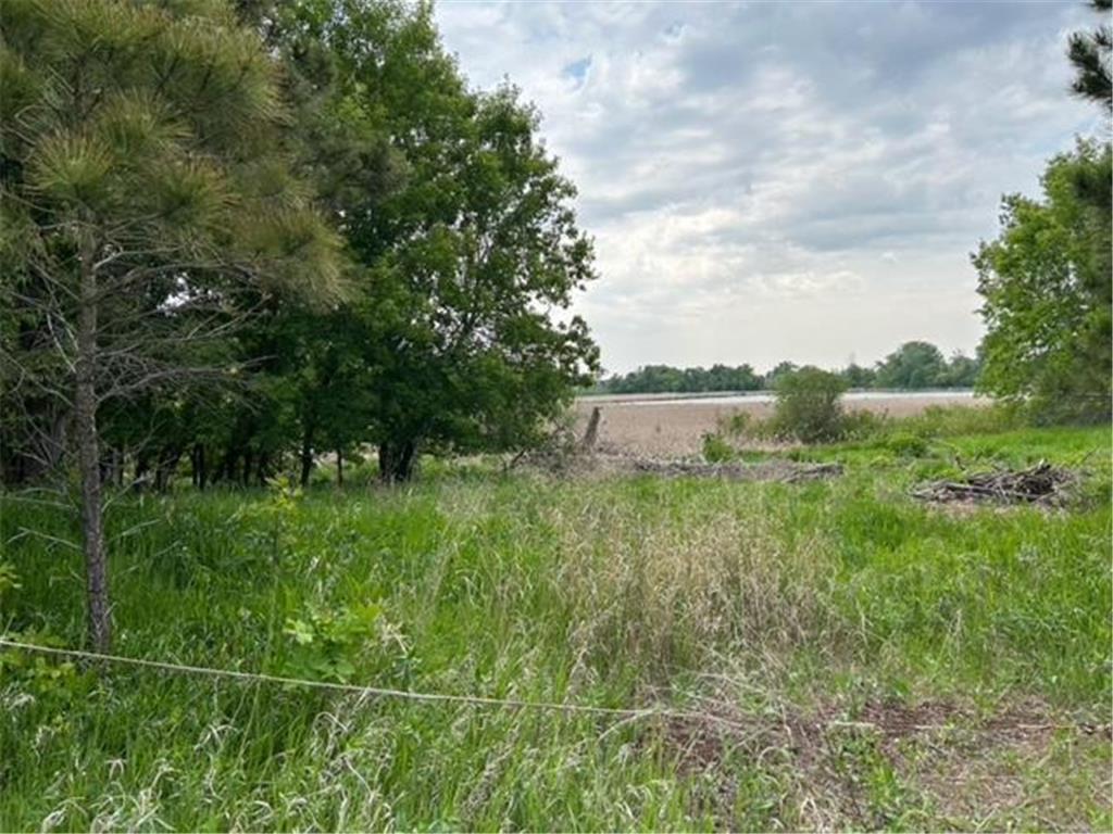 TBD Highway 28/29 Long Beach MN 56334 - Shallow Pond 6734442 image21