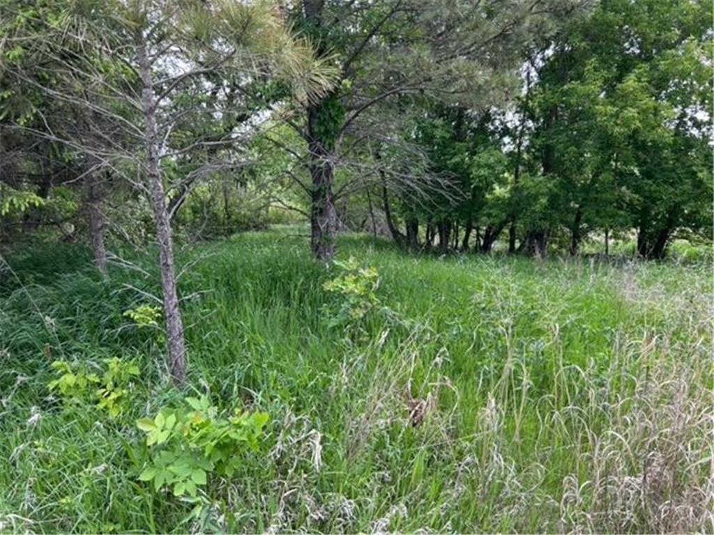 TBD Highway 28/29 Long Beach MN 56334 - Shallow Pond 6734442 image22