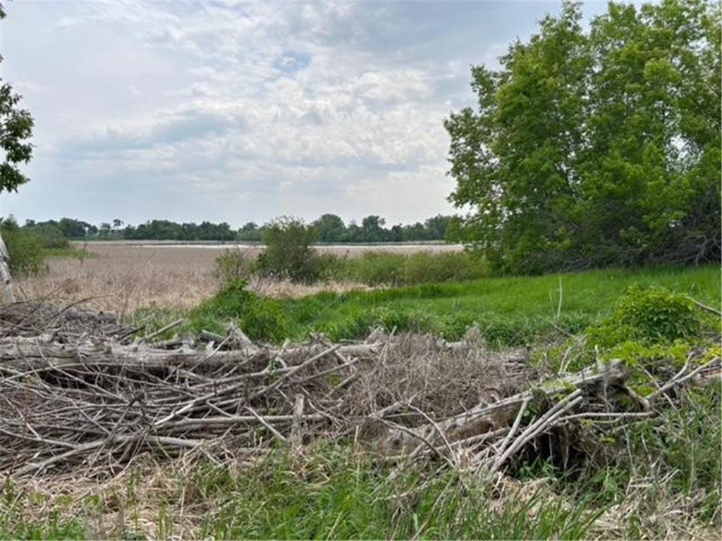 TBD Highway 28/29 Long Beach MN 56334 - Shallow Pond 6734442 image4