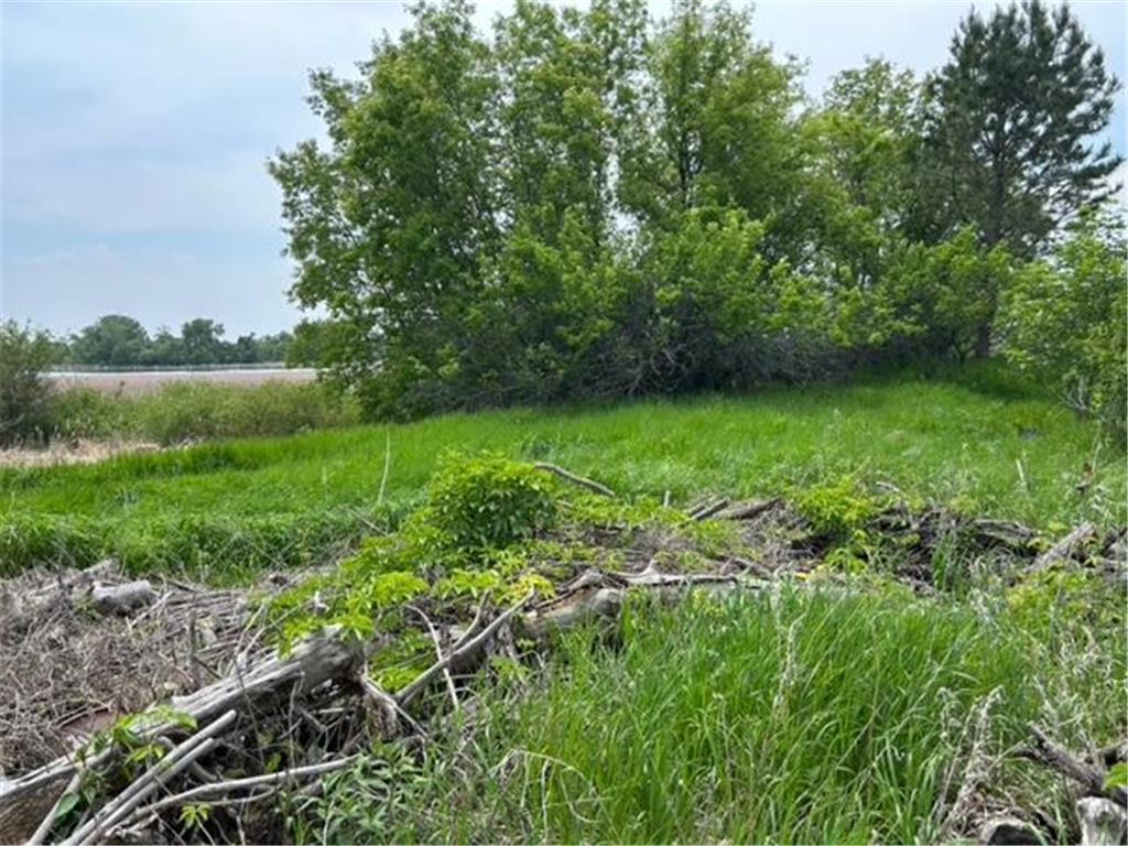 TBD Highway 28/29 Long Beach MN 56334 - Shallow Pond 6734442 image5