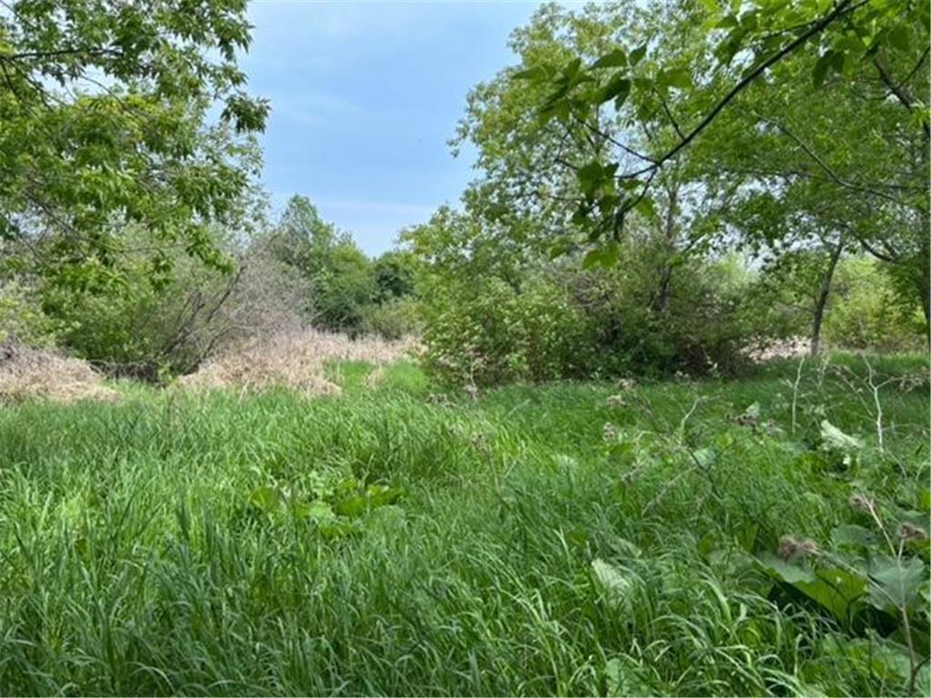 TBD Highway 28/29 Long Beach MN 56334 - Shallow Pond 6734442 image6