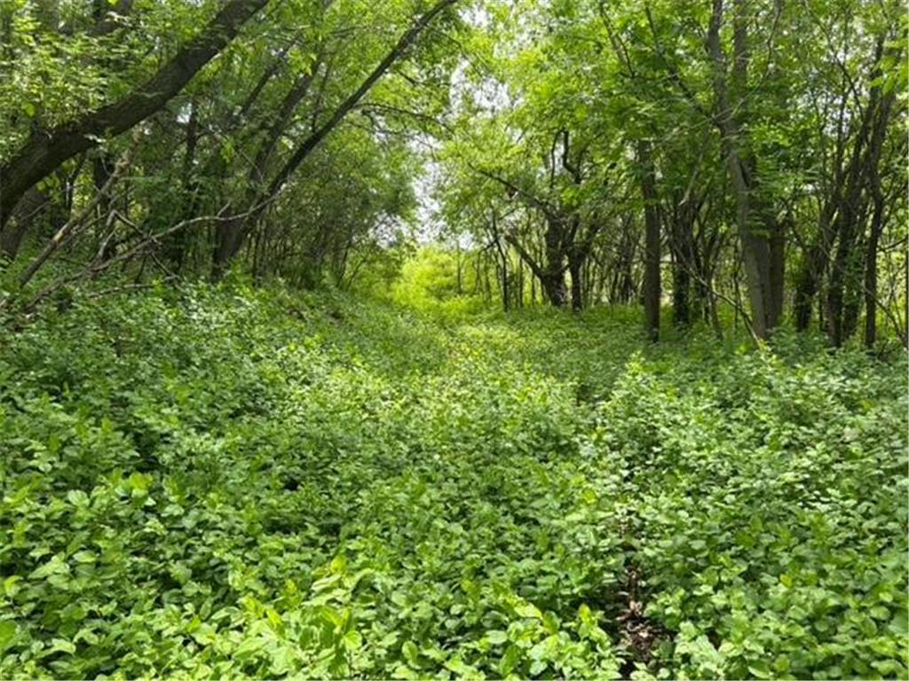 TBD Highway 28/29 Long Beach MN 56334 - Shallow Pond 6734442 image7