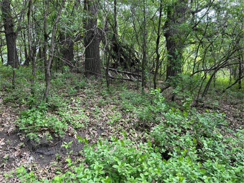 TBD Highway 28/29 Long Beach MN 56334 - Shallow Pond 6734442 image9