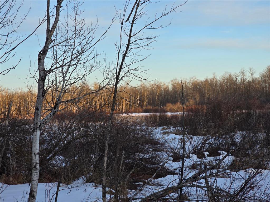 TBD Highway 47 Lakeside Twp MN 56342 7042403 image1
