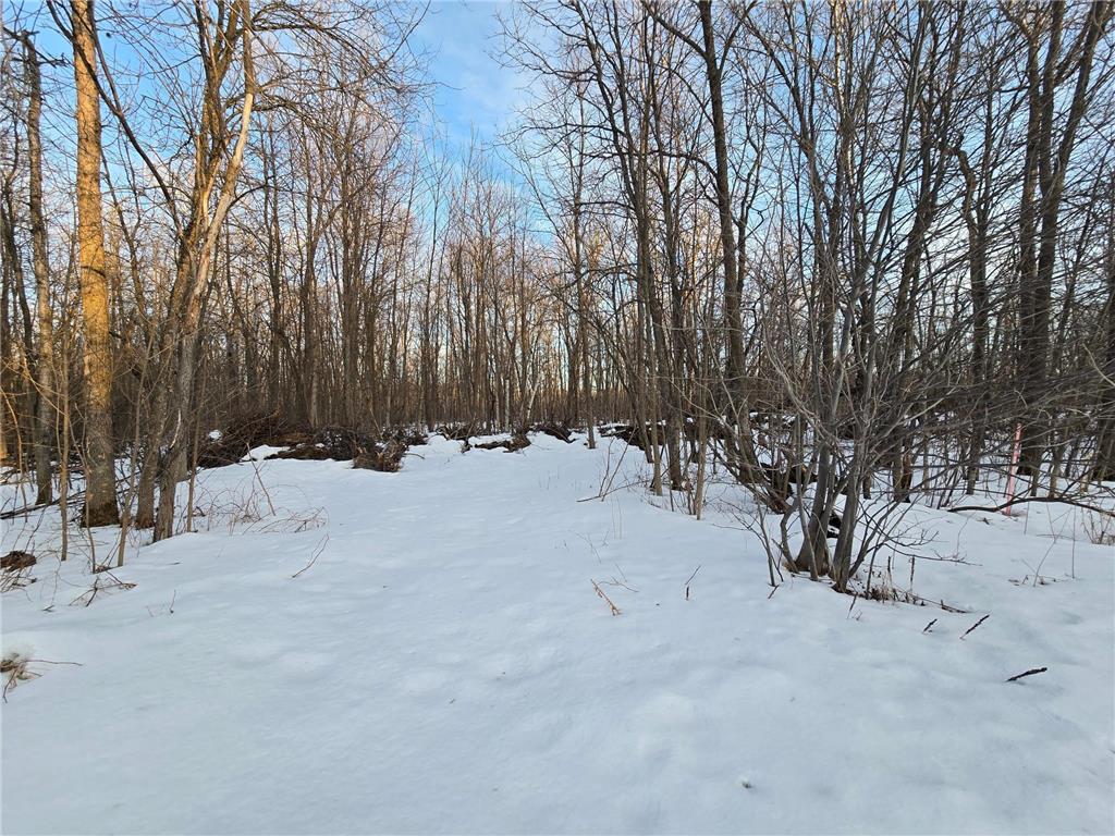 TBD Highway 47 Lakeside Twp MN 56342 7042403 image10